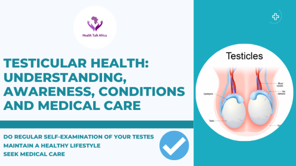 Testicular Health: Understanding, Awareness, Conditions and Medical Care